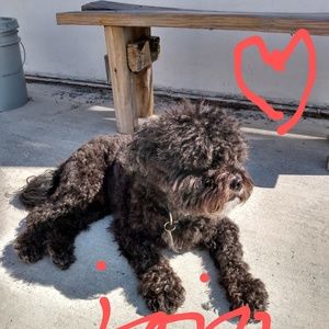 Meet your Posher, Tuan